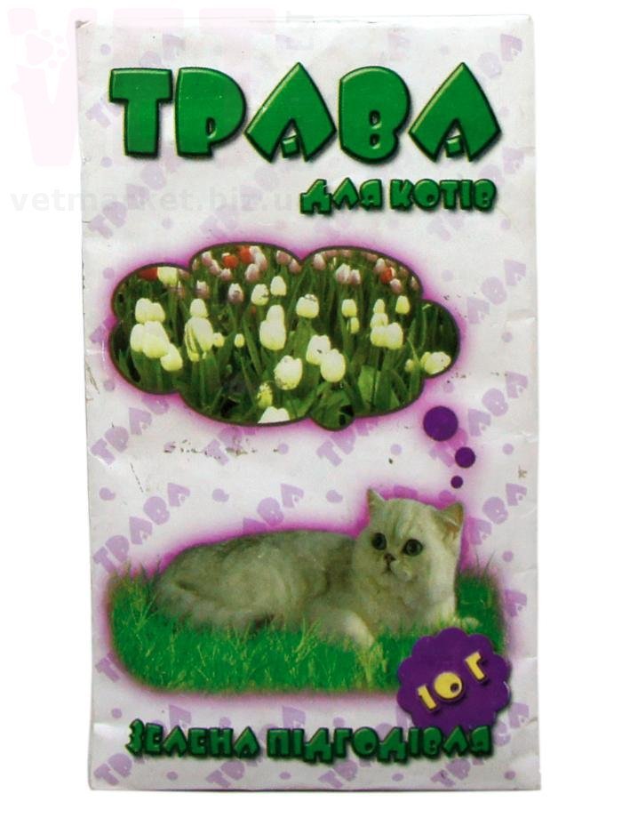 ����� ��� ����� (�������� �����), 10 �, ����. ��� ����