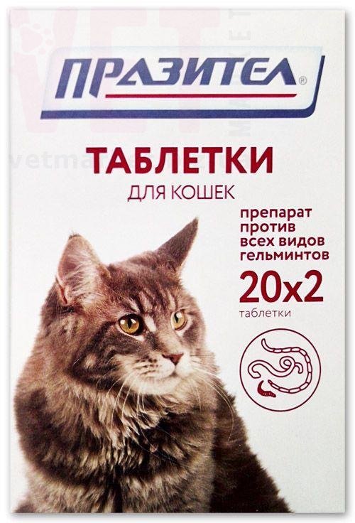 �������� �������� ��� �����, �������� (20x2) 40 ��������. ��� �����