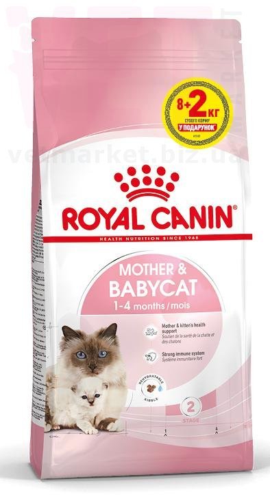 ���� ����� Mother and Babycat, 8 �� + 2 ��. GROWTH