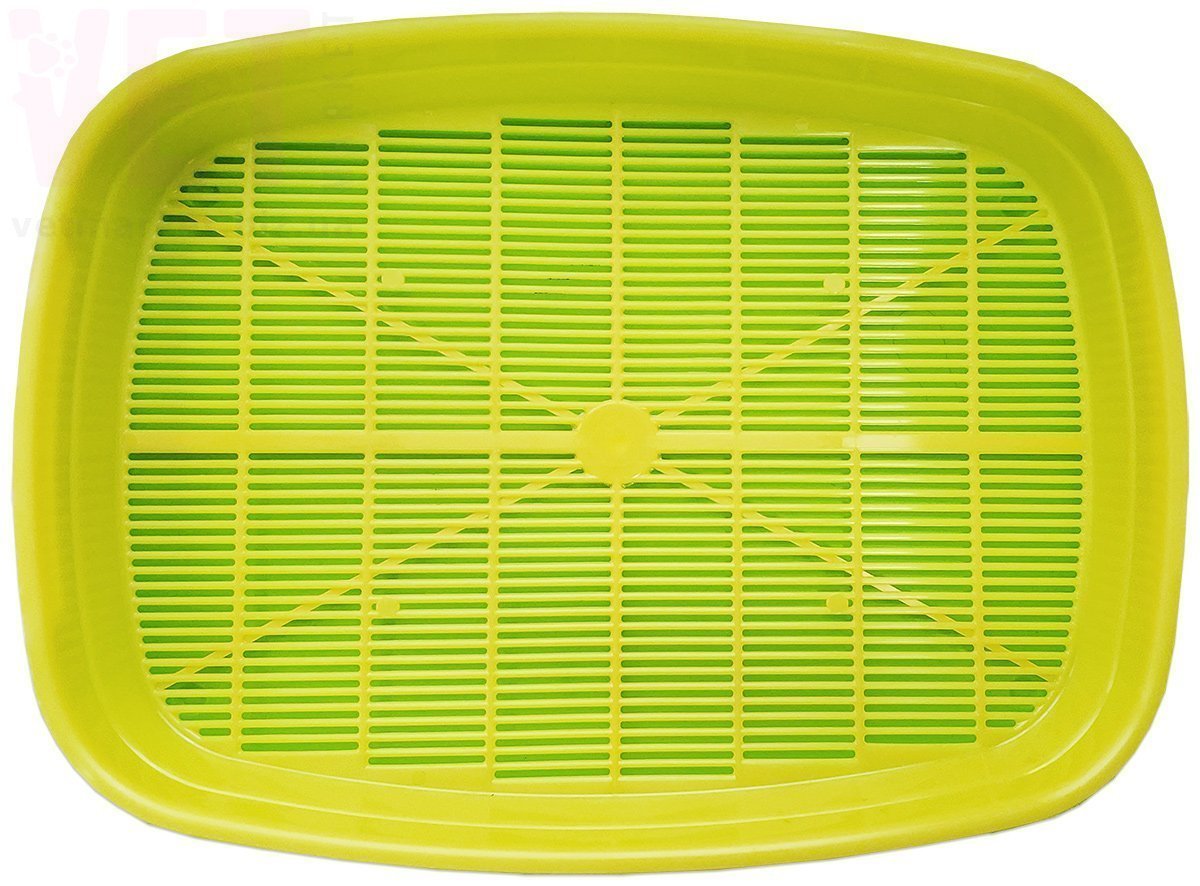 ������ ������ + �����, �����. ��� ����