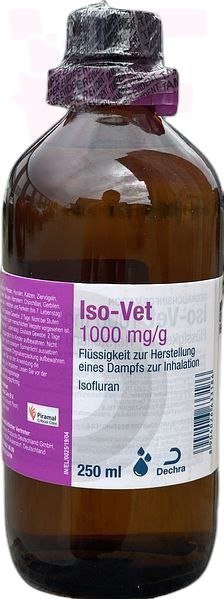 ���-��� 1000��/��, 250 ��, Dechra. �����������, ���������, �����������