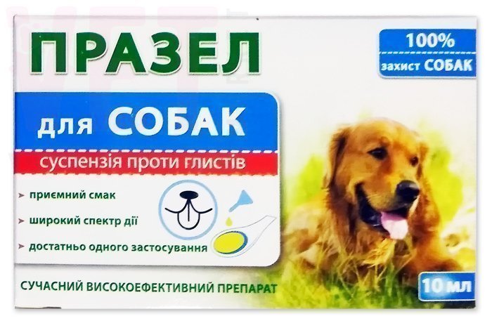 ������ ��� �����, 10 ��, ����. ��� �����