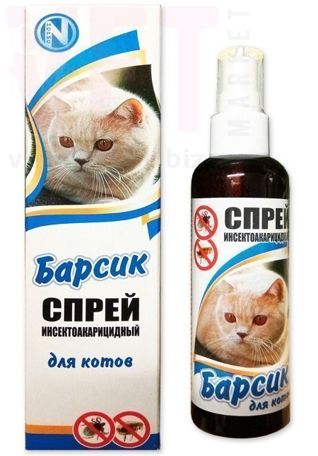 ������ ����� ��� �����, 100 ��, �����. �����