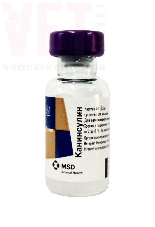 ����������, 2,5 ��, MSD. ����������� ���������