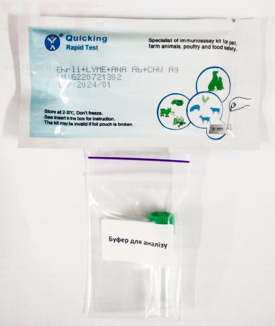 ��������-���� 4�: ������������/����������/��������/���������, Quicking Biotech Co, Ltd. ��� �����