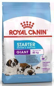 ���� ����� Giant Starter, 4 ��. Giant (> 45 ��)