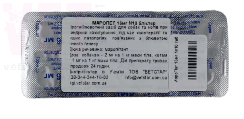 GiGi MaroPET / ������� 16 �� �10 ����.. �������������