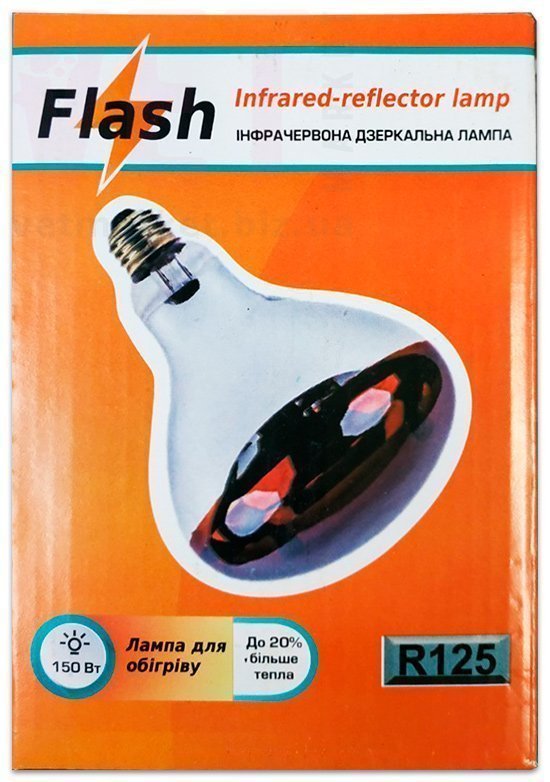 �����/����� ����������� ���� (������������ ���������� ����� ������� �����). ����� / ����� � �����������