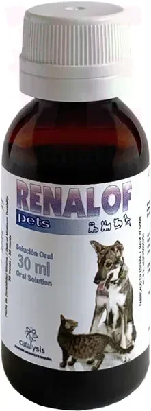 ������� �������� ������������� �������, 30 ��, Catalysis. ����������� ������� �� �����
