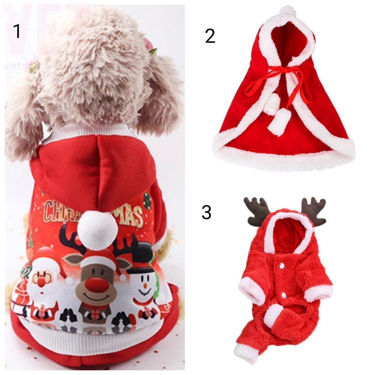 ������ 100-5 ����������. ����