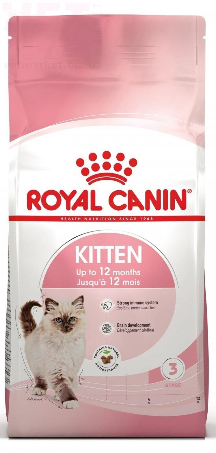 ���� ����� Kitten, 10 ��. GROWTH