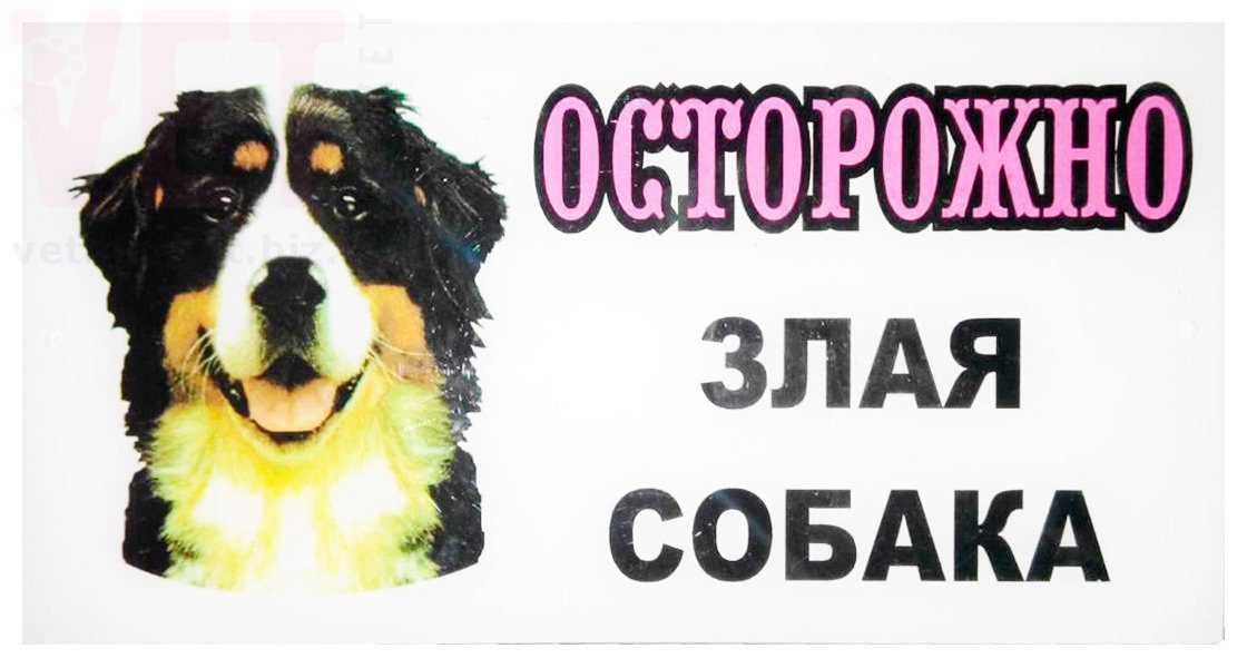 �����/����������� �������� ��������� ���� ������, 20*10 ��. ����� / ����� � �����������