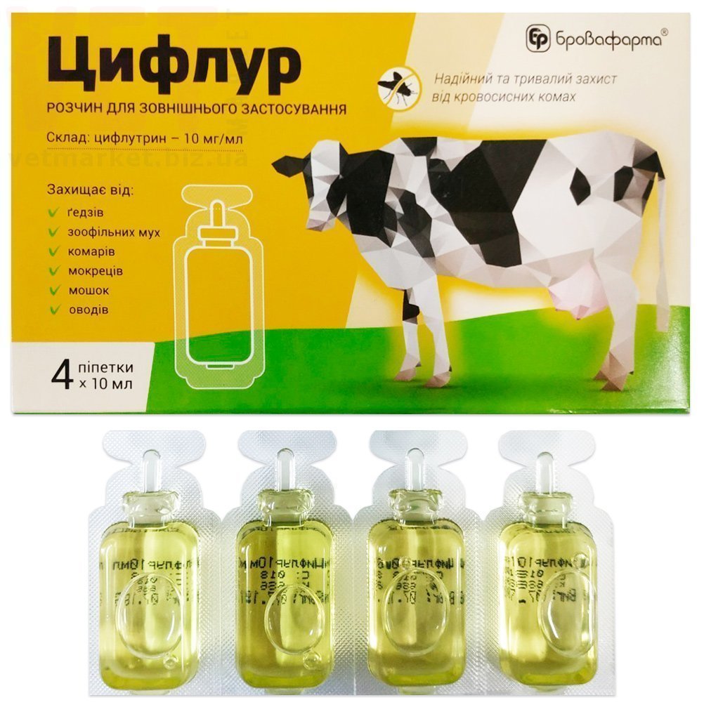 ������, 4 ���.*10 ��, ����������. ������ ������� �� ����� �� ��������