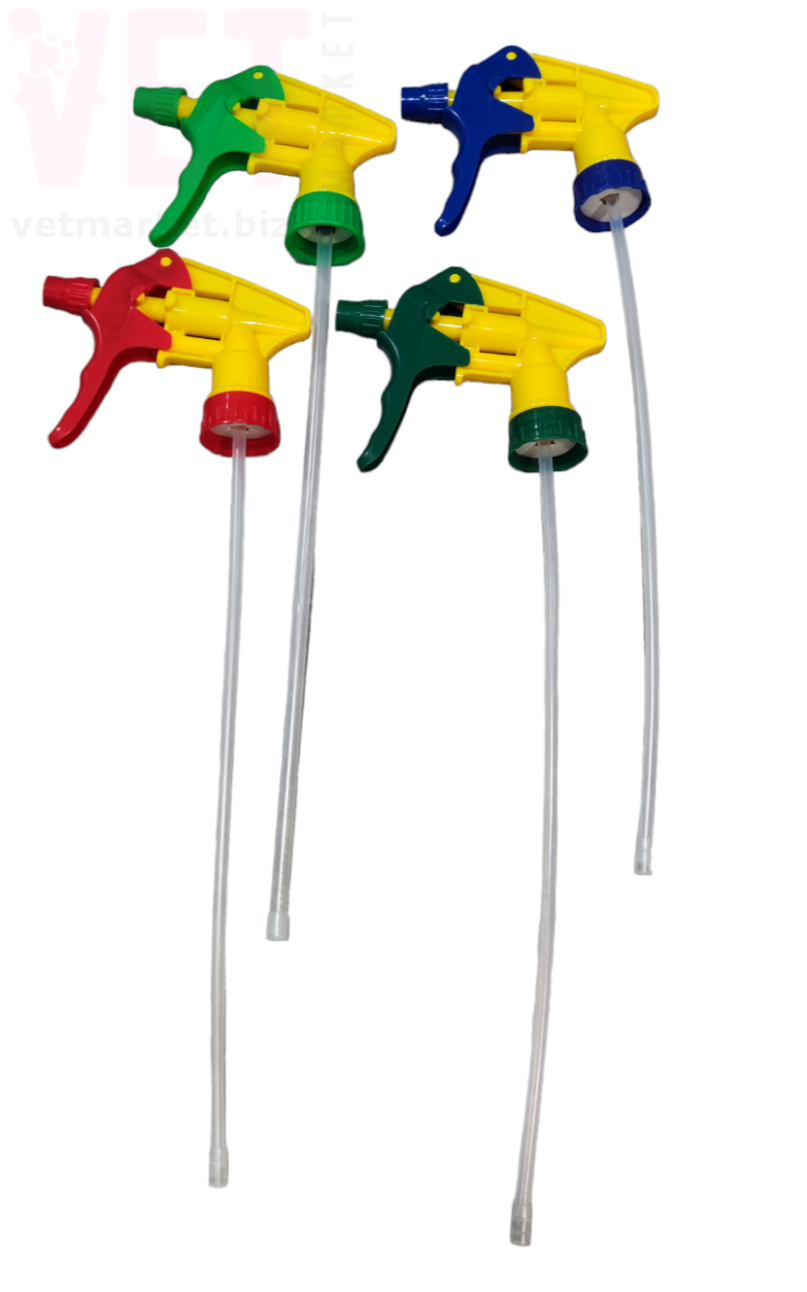 ������ �������. ����