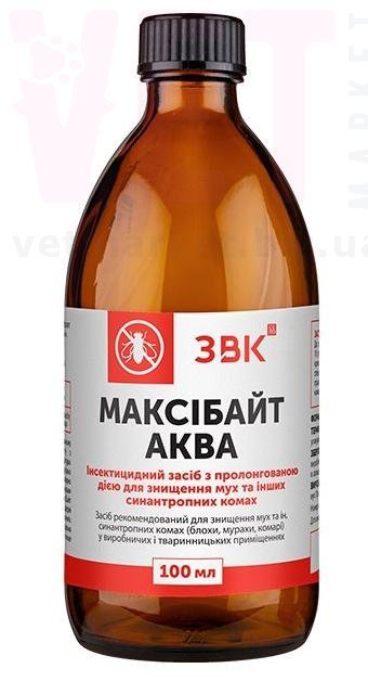 ��������� ����, 100 ��, ���. ������ ������� �� ����� �� ��������