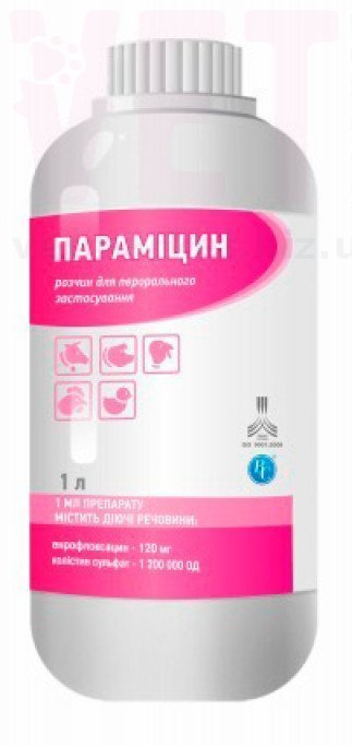 ��������� ��������, 1 �, ���������. �����������