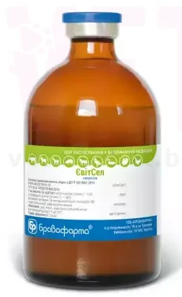 �������, 100 ��, ����������. ��� �������������������� ������