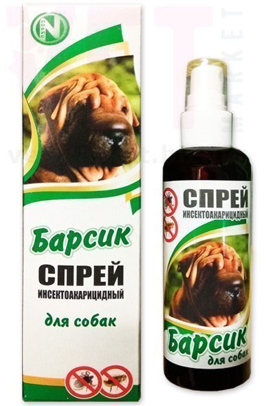 ������ ����� ��� �����, 100 ��, �����. �����