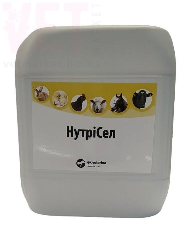 ��������, 5 �, LEK VETERINA. ��� �������������������� ������