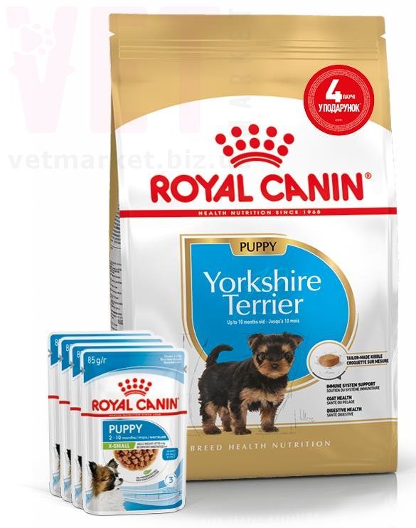 ���� ����� Yorkshire Puppy, 1,5 �� + 4 �����. Breed Health Nutrition - ������� � ������������ � �������