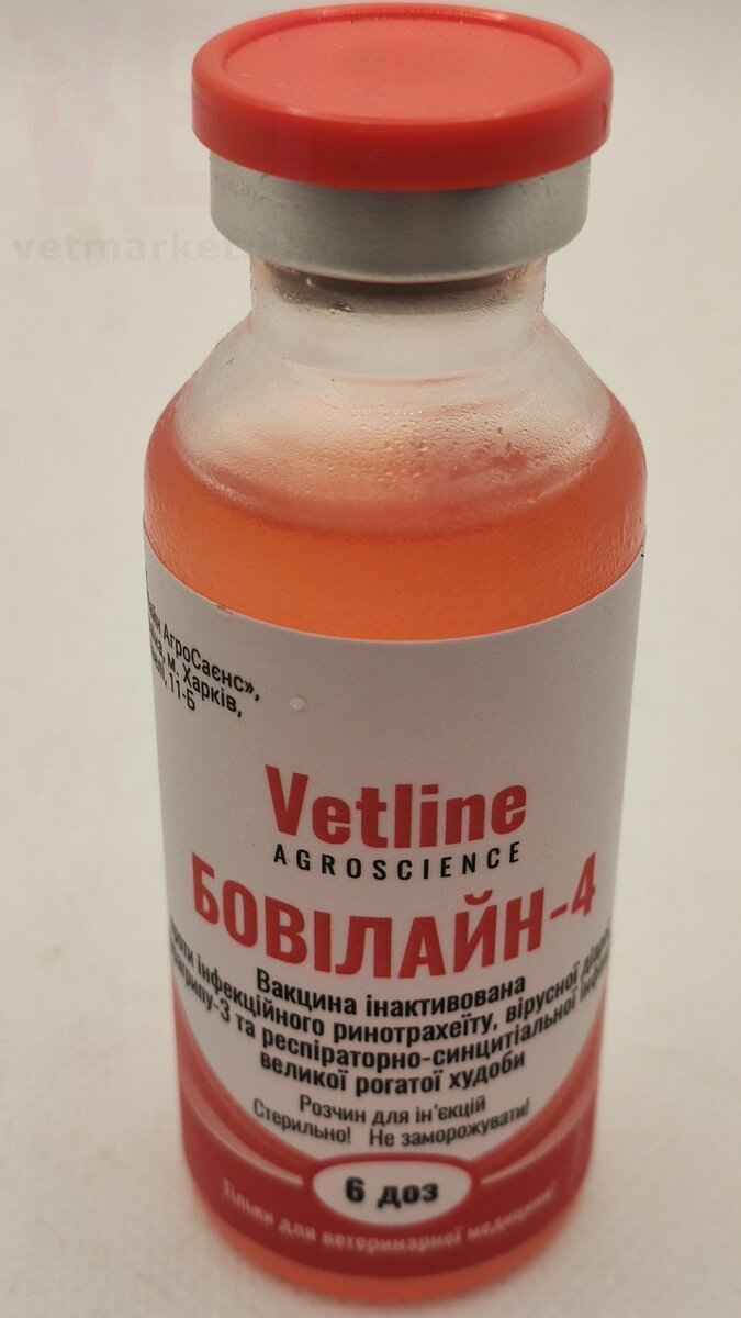 �����/��������-4 (6 ��� �� 30 ��), Vetline. ����� / ����� � �����������