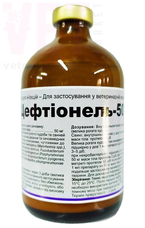 �����/����������-50, 100 ��, Interchemie (����������). ����� / ����� � �����������