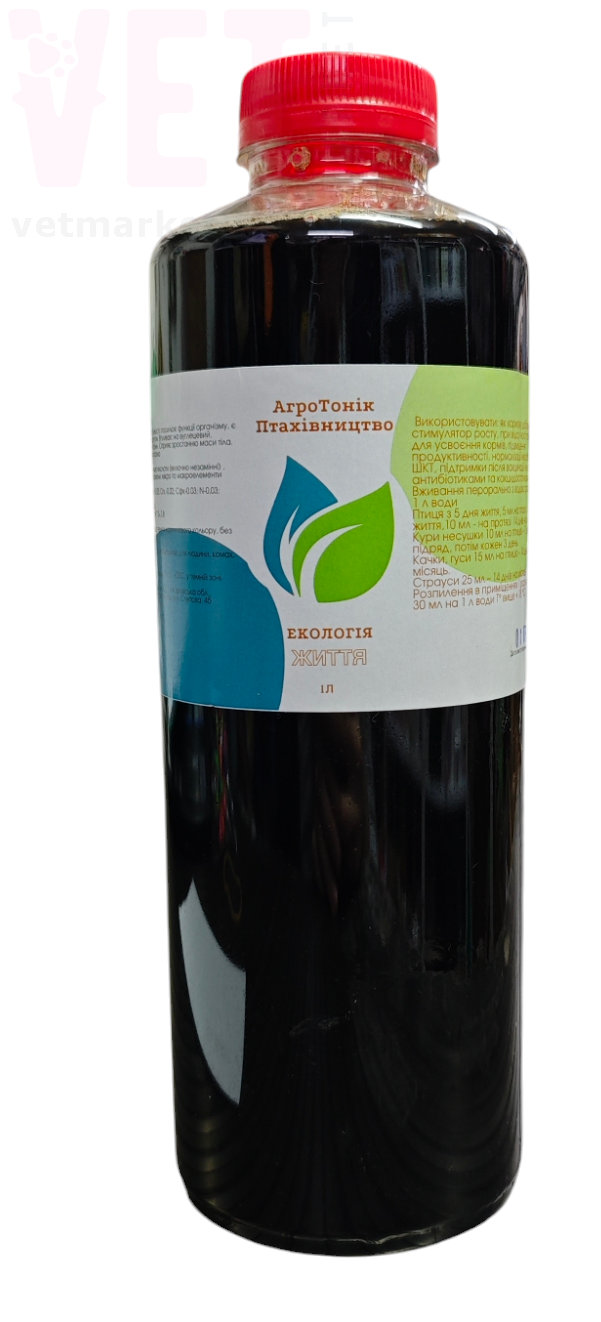 ��������� ������������� ��� �����. �������������� ��� ������