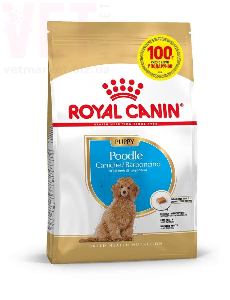 ���� ����� Poodle Puppy, 400 � + 100 �. Breed Health Nutrition - ������� � ������������ � �������