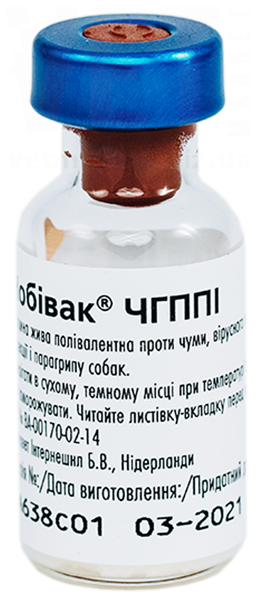 ������� �����, MSD. �������, ���������