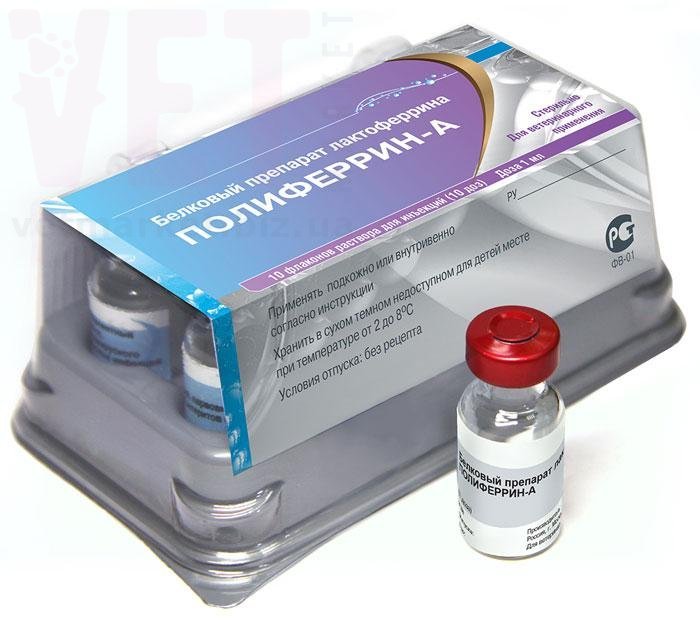 �����/����������-�, 1 �� - 1 ����, ������. ����� / ����� � �����������