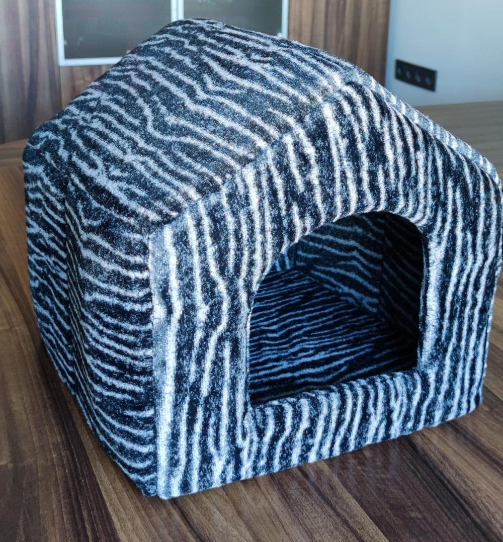 �����-����� ���� ��������, �����. ���������