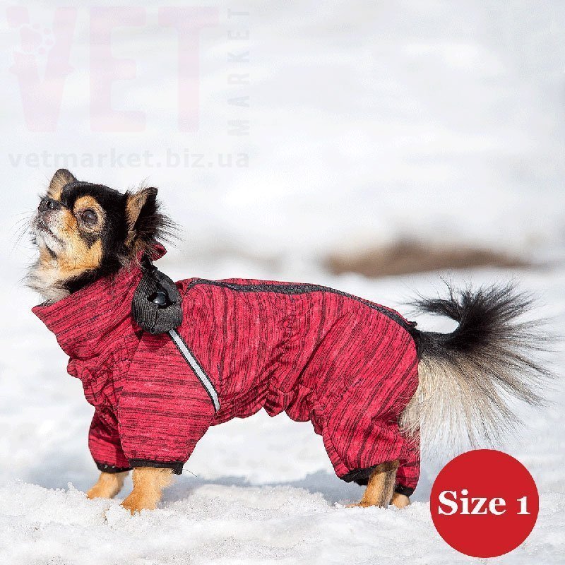 ���������� DIEGO snow NEW F (�������) �������. ����