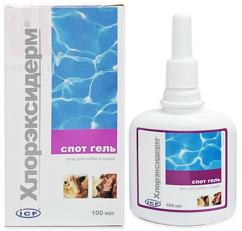 �����/������������ ���� ����, 100 ��. ����� / ����� � �����������