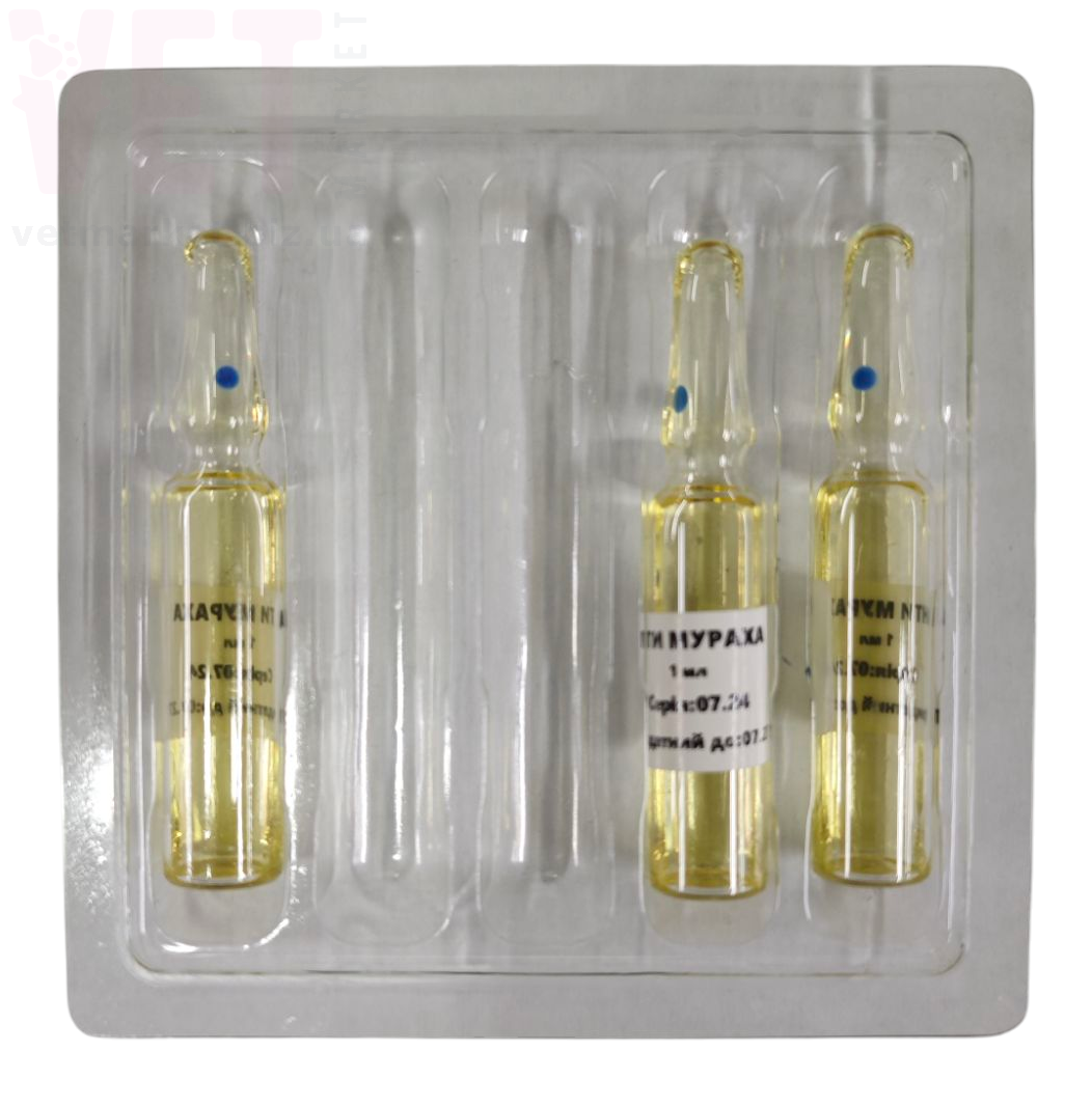 �����/���� �������, 1 ���*1 ��, ������� (������). ����� / ����� � �����������