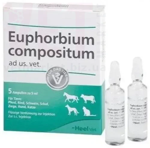 ��������� ����������, 5 ��, Heel. ������������ ���������