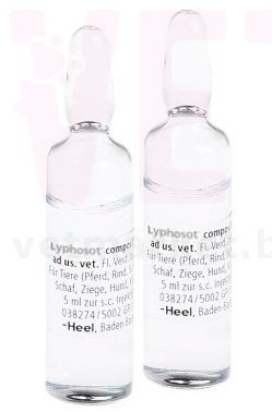 �����/�������, 5 ���.*5 ��, ����. ����� / ����� � �����������