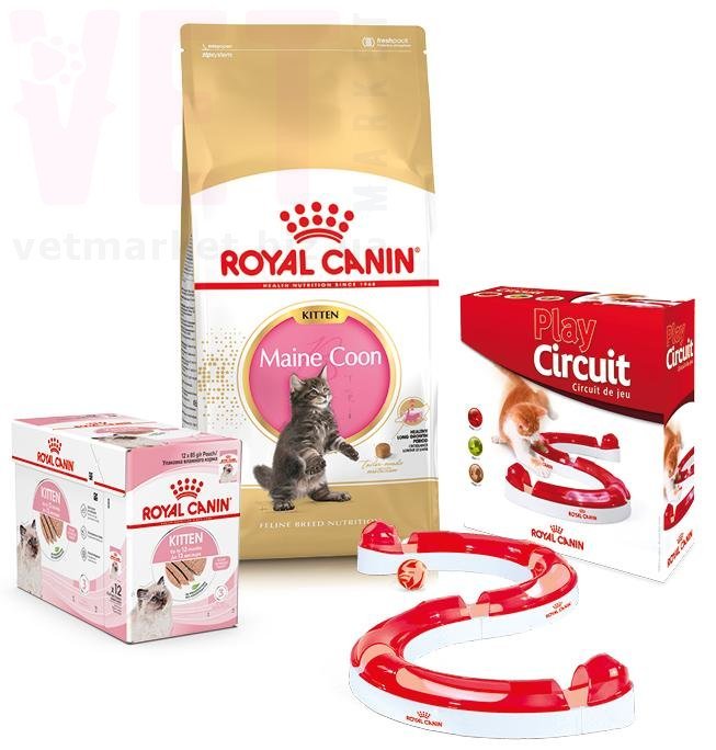 ���� ����� Mainecoon Kitten, 2 �� + 12 ������ + ������� ���� � �������. Feline Breed Nutrition - ������� � ������������ � �������