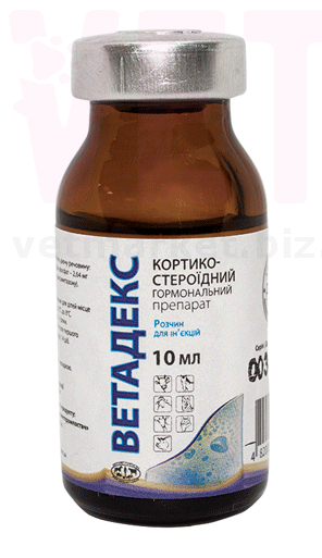 ��������, 10 ��, ����������. ������������ ���������