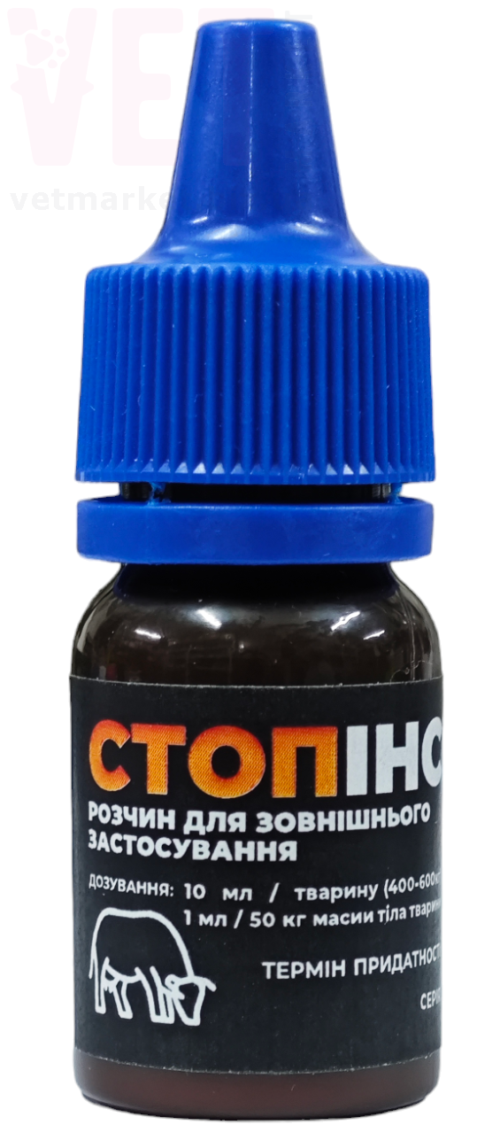 ����-������ ���-��, 10 ��, ����������. ������ ������� �� ����� �� ��������