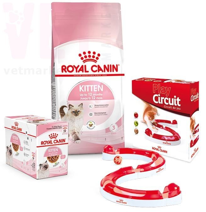 ���� ����� Kitten, 2 �� + 12 ������ + ������� ���� � �������. GROWTH