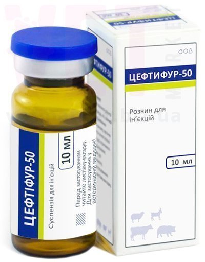 ��������-50, 10 ��, ����������. �����������