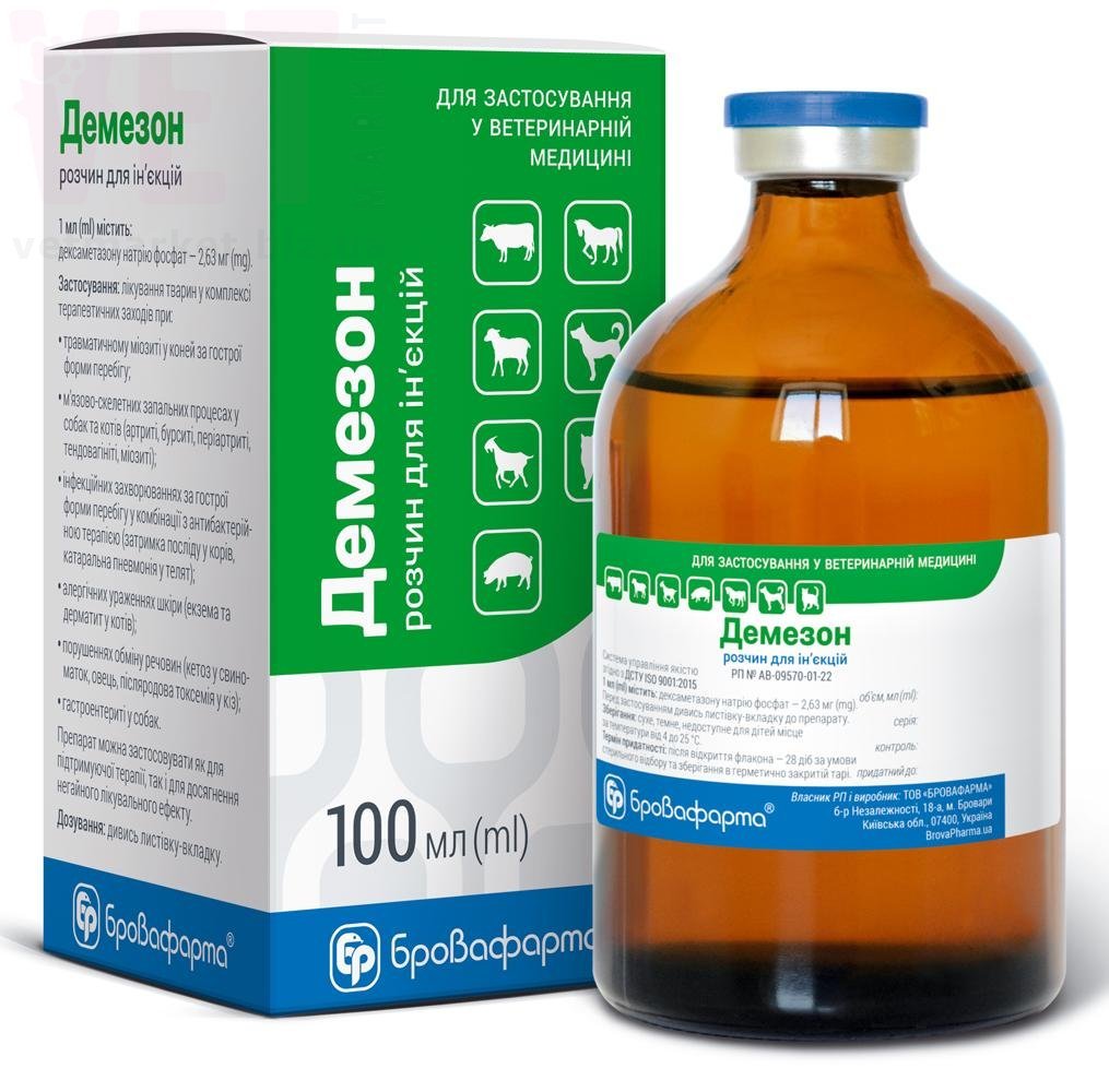 �������, 100 ��, ����������. �������������