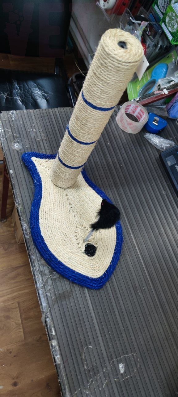 �����/����������-������� ����� 8-21 (������). ����� / ����� � �����������