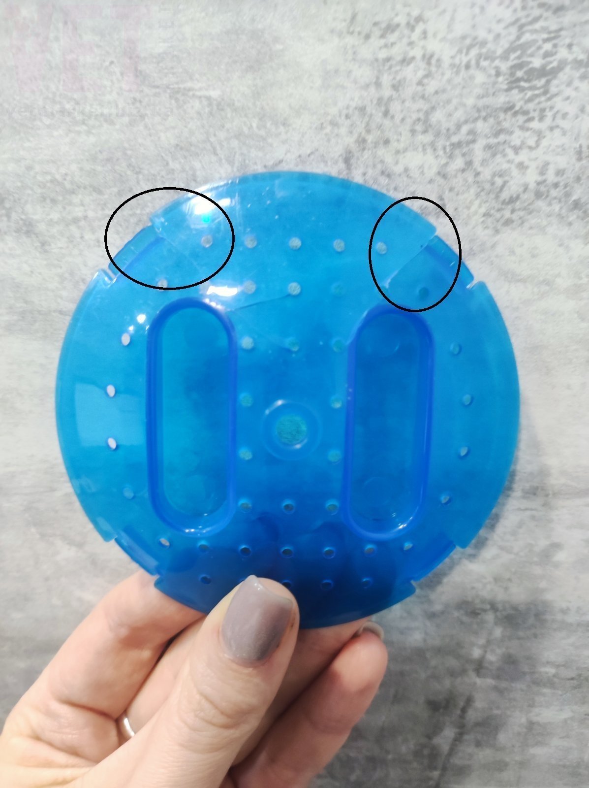 �����/���-��������� ��� ������, 18 �� (������). ����� / ����� � �����������