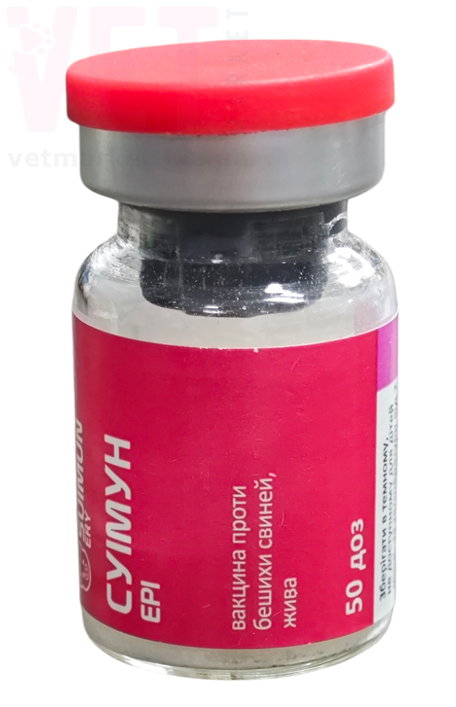 ������ ��� ������� ������ ���� ������, 50 ���, ����������. �������, ���������