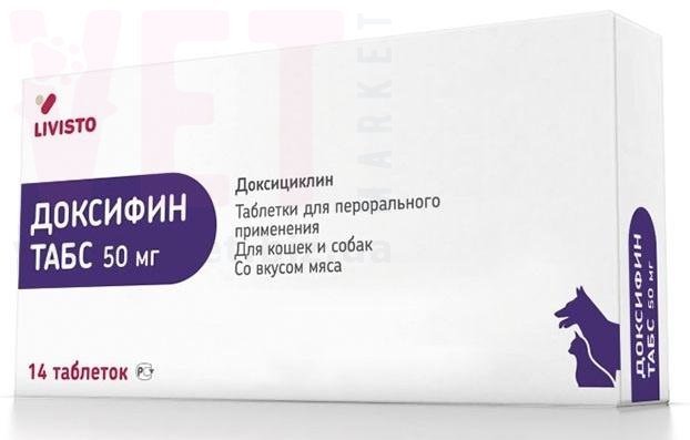 �����/�������� ���� 50 ��, 14 ����., Invesa (������). ����� / ����� � �����������