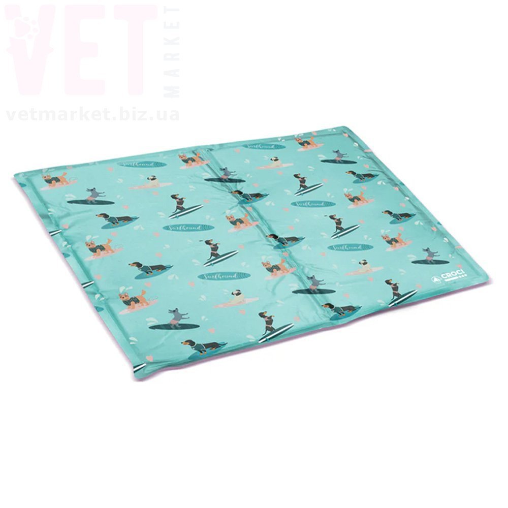 ����������� ������ ����� �������, 65*50 ��. ����������� �������