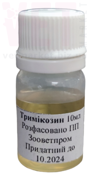 �����/����������, 10 ��, ����������. ����� / ����� � �����������