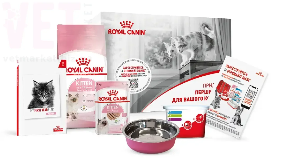 ���� ����� Kitten ��������� �����. GROWTH