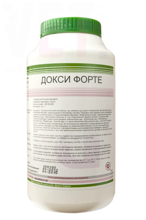 ����� �����, 1 ��, JOVET. �����������